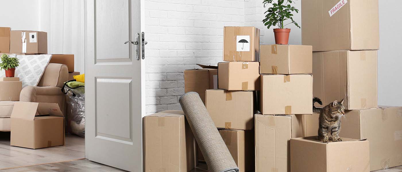 House Shifting Service in Pune